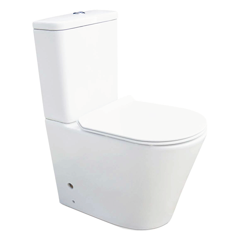 Buy Gentec Ambulant Close Coupled Toilet Suite Online Cass Brothers