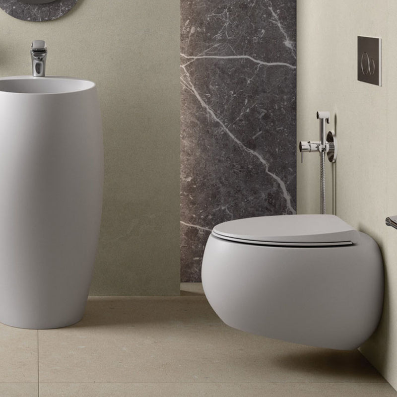 Fienza Rak Cloud Wall Hung Toilet Suite - R&T Cistern