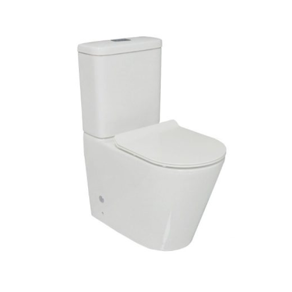 Decina Renee Ezi Height Rimless Universal Back-to-Wall Toilet Suite ...